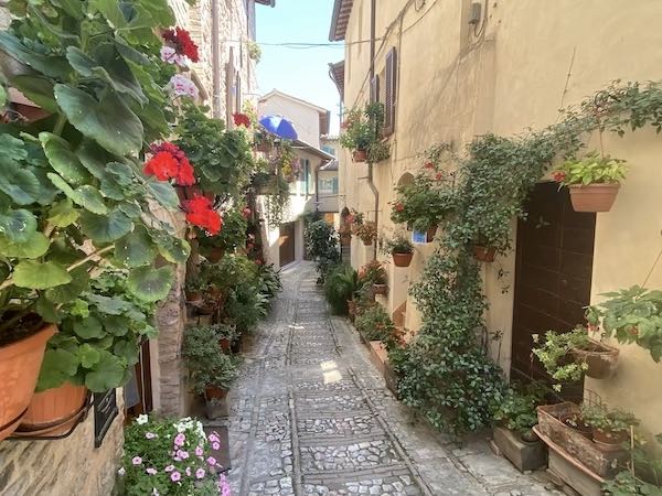 Blooming alley in Spello, Italy