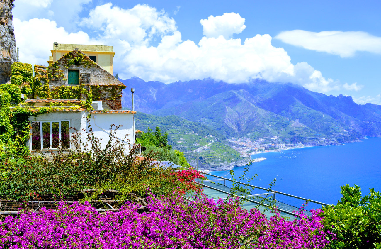 Bouganvillea in Minori, Ravello