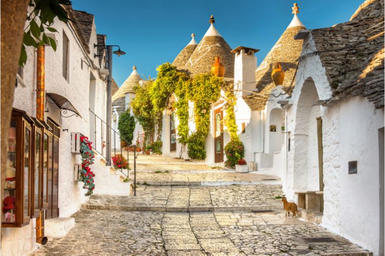 Street of trulli houses.