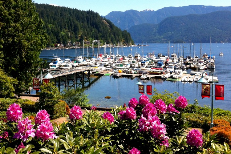 Deep Cove Marina in summer, free things to do in Vancouver, British Columbia