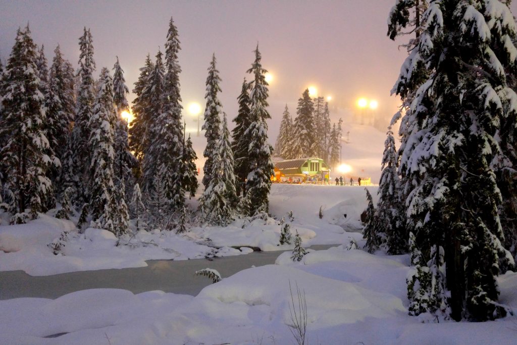 Cypress Mountain at night, skiing with fresh snow on the trees, Vancouver, British Columbia