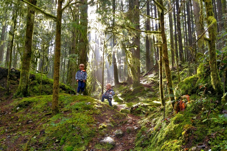 Kids hiking in Lynn Valley Park near Rice Lake trail, free activities in Vancouver during summer