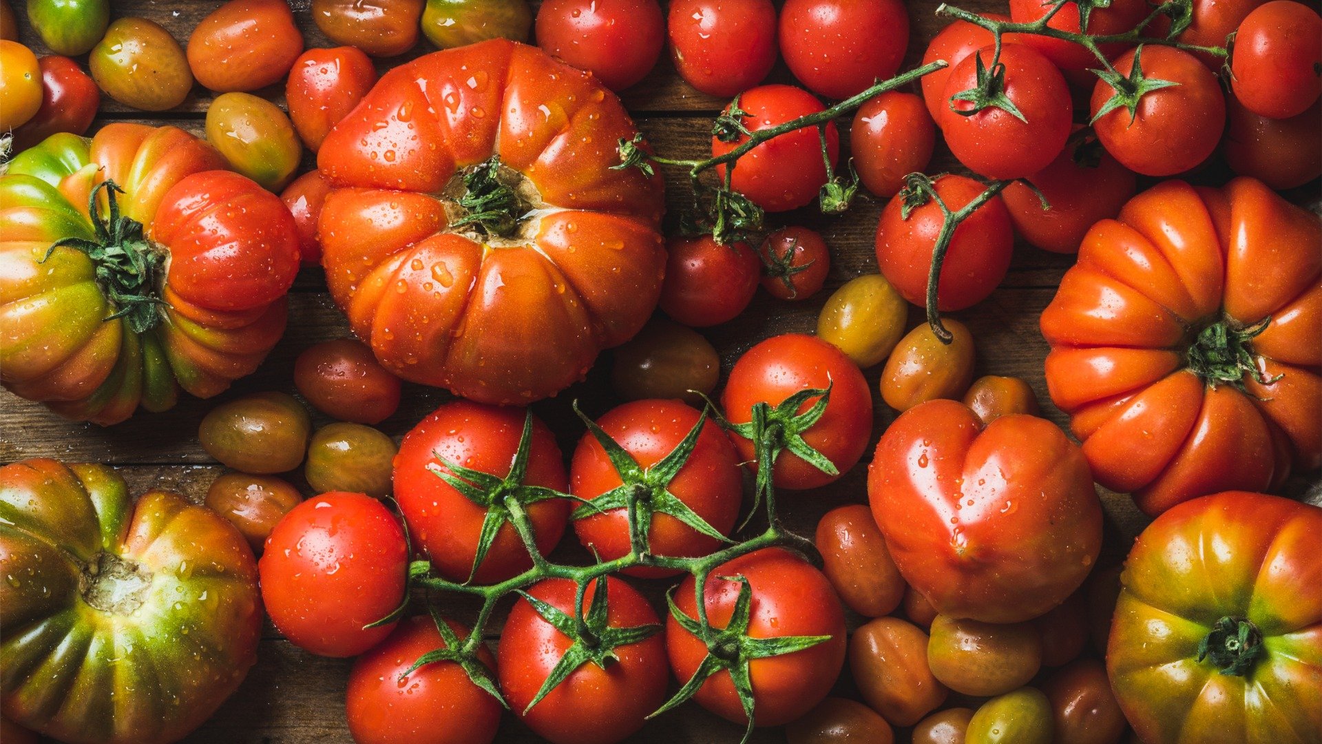 This photo shows several types of Italian tomatoes.