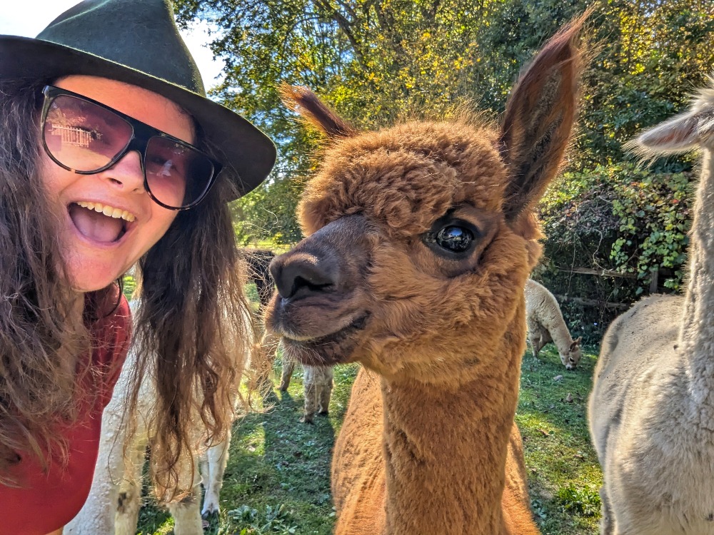 Me with Daisy the alpaca