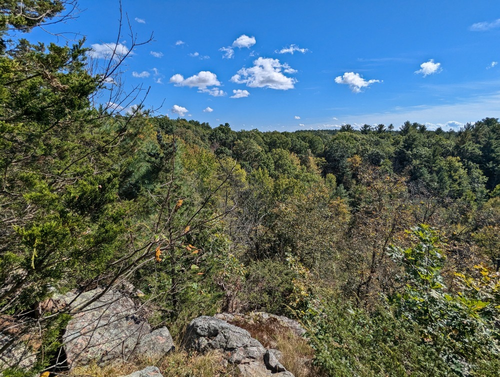 Lookout at Marble Rock Conservation Area that overlooks dense forest