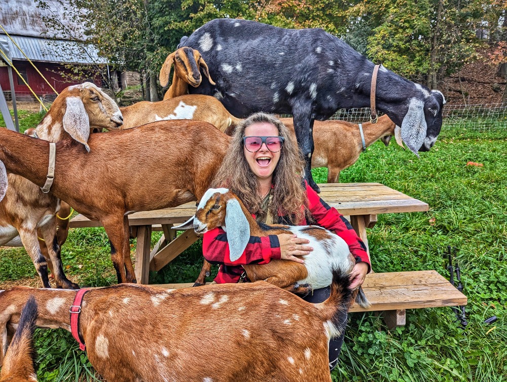 Me cuddling a baby goat while surrounded by four more goats at Goat Ridge Farm