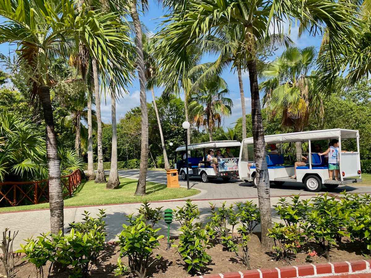 Open-air trolleys on the lush grounds of Grand Bahia Principe.