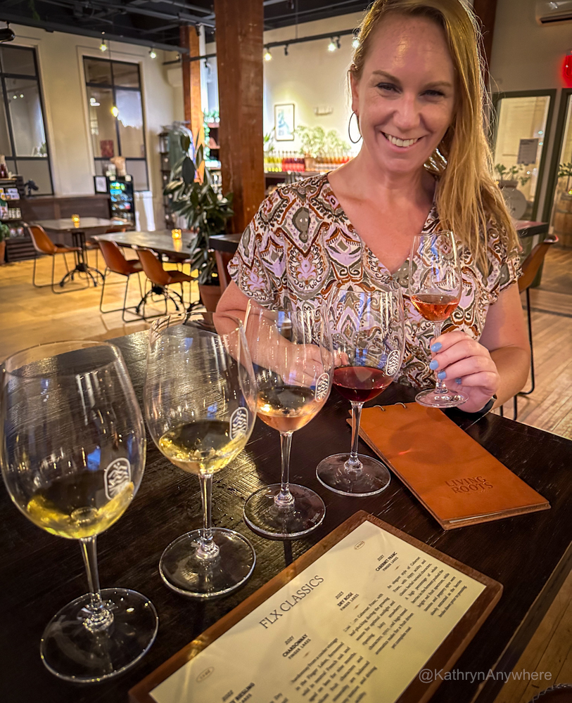 Best Places to Drink in Rochester Living Roots FLX Classics wine sampling