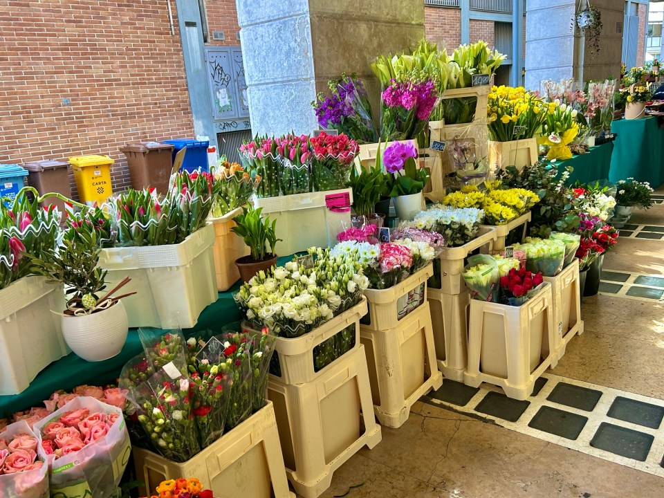 Flower-Market-in-Treviso-Italy-Photo-by-Margie-Miklas