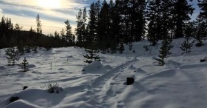 Kane Snowshoeing Photo credit: Tom Reynolds