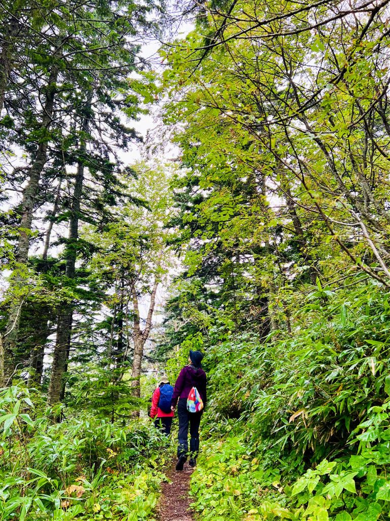 Hiking up Mount Pon on Rishiri Island