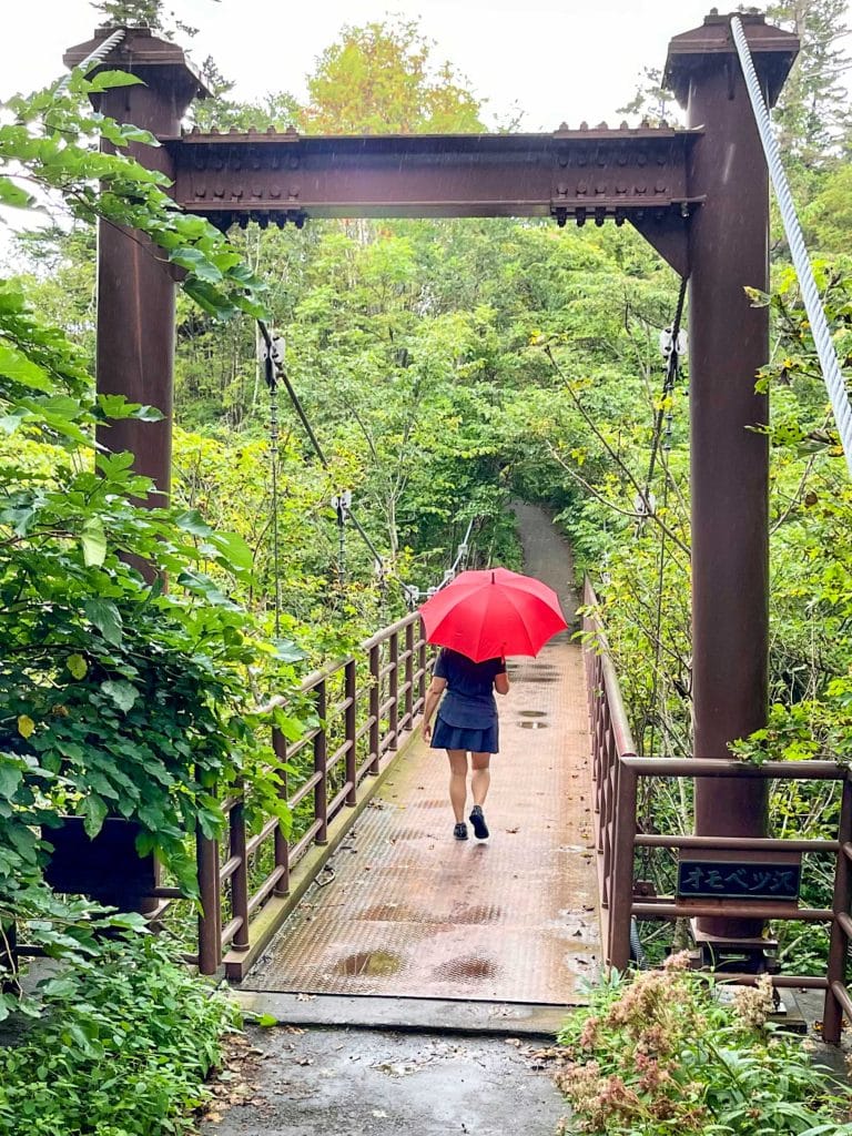 Walking at Hime Swamp with a red umbrella