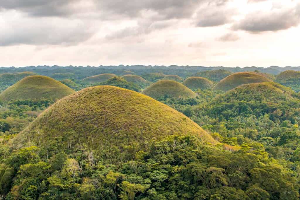 The lush jungles of Bohol Island, Philippines