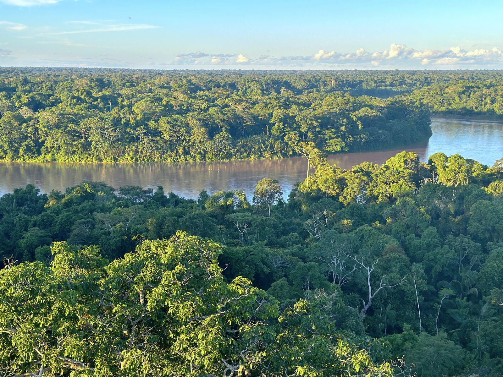 View from the Posada Amazonas tower