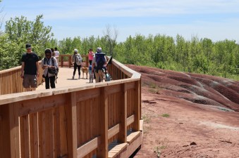 Cheltenham-Badlands---viewing-platform---lets-discover-on