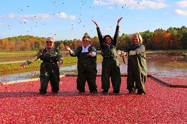 ToDoOntario - Muskoka Lakes Farm & Winery, Cranberry Plunge