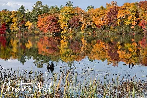 ToDoOntario - Christie's Mill Inn & Spa, fall colours