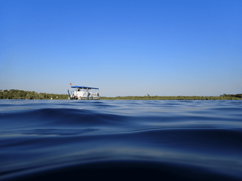 Boating in Florida to see manatees