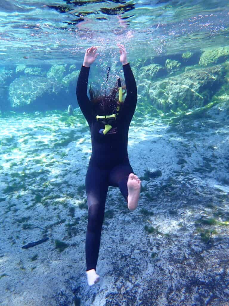 Swimming in Three Sisters Springs for manatees