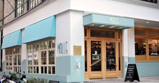 cafe molle in busan south korea