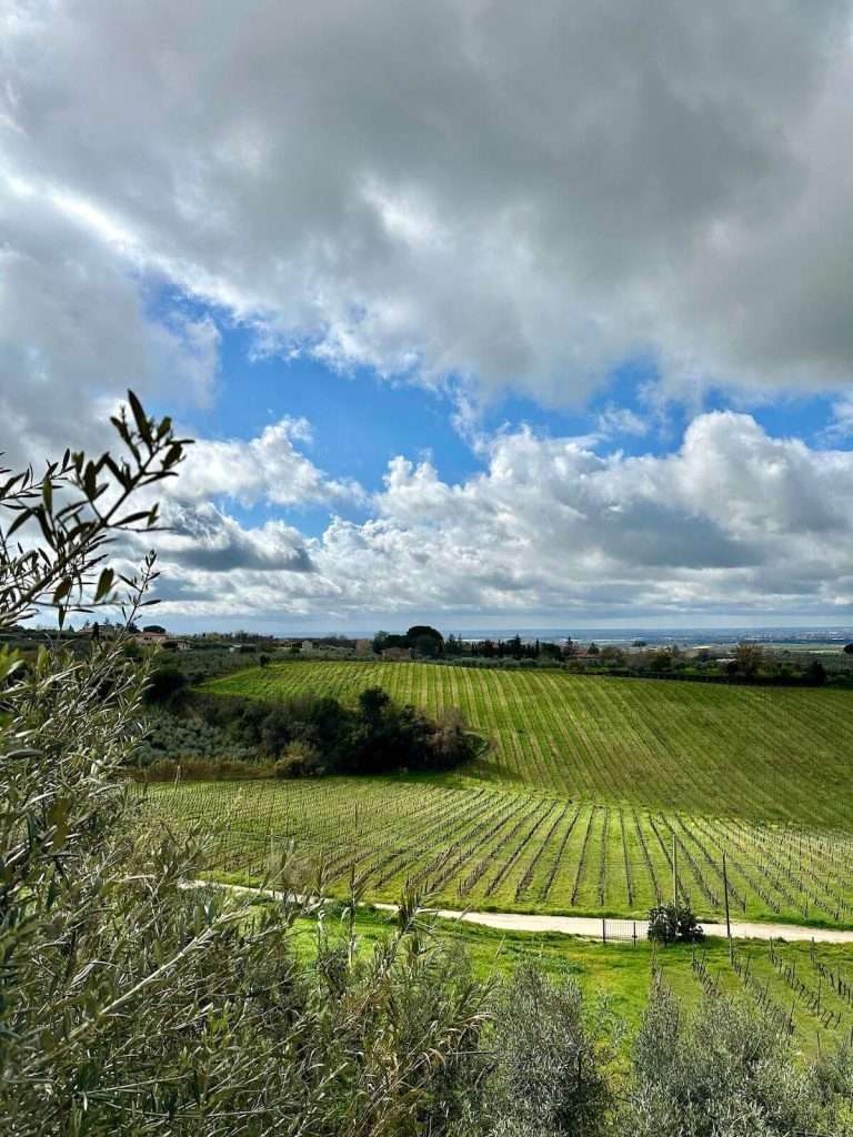 The best wineries and vineyards in Italy