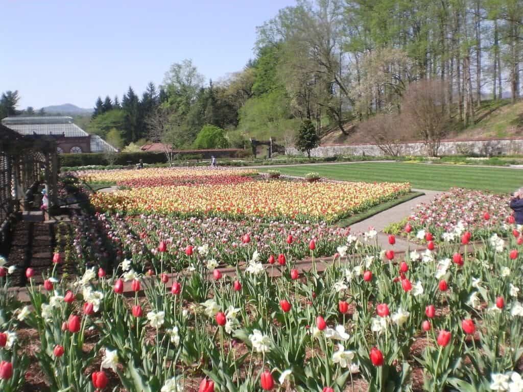 best outdoor spring flower events in america