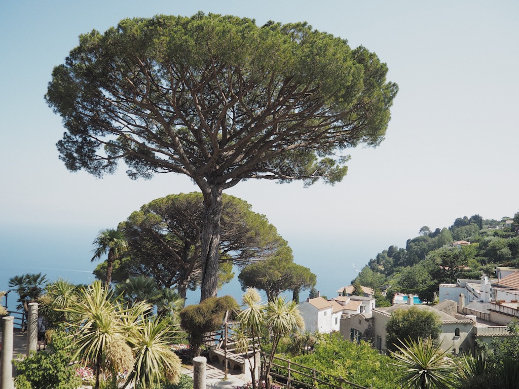 Ravello Villas