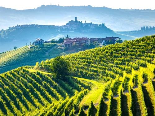 Regions to Experience the Perfect Culinary Vacation in Italy by Tour Italy Now