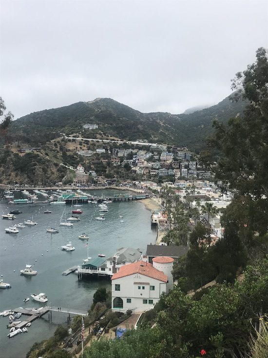 Avalon Harbour on Santa Catalina Island, with the Wrigley Mansion on the hill in the distance.