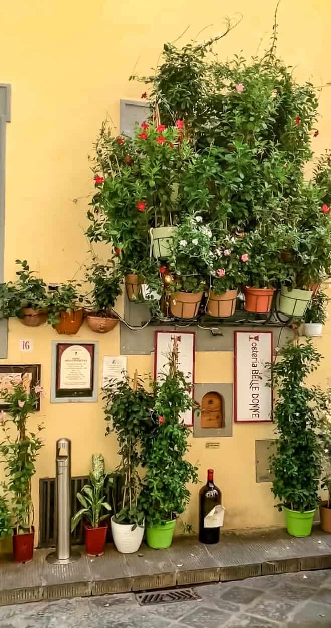 Osteria Belle Donne, Florence wine windows