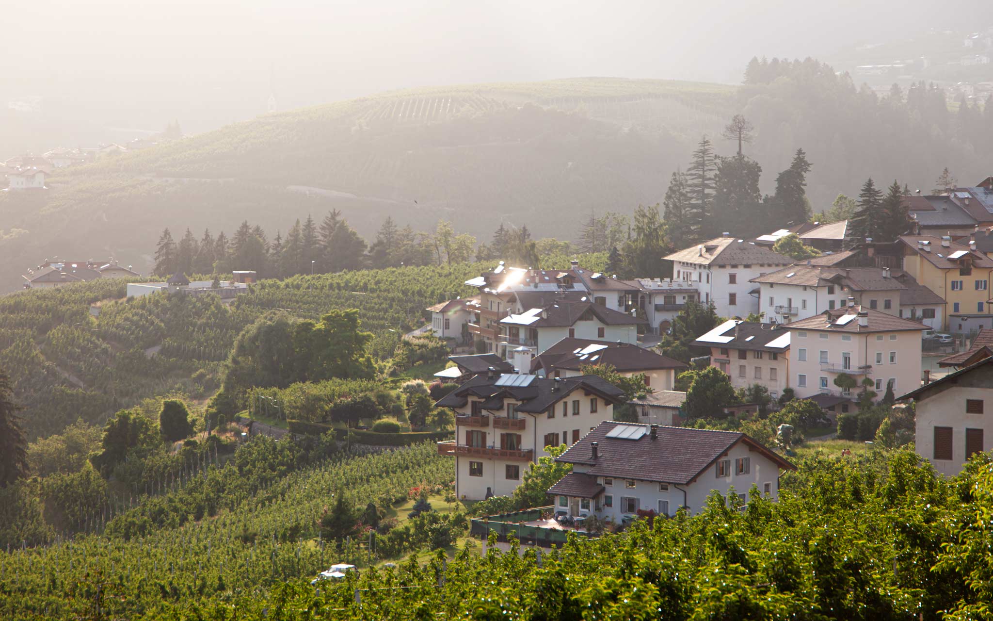 Sunset over a small village in the orchards of Val Di Non