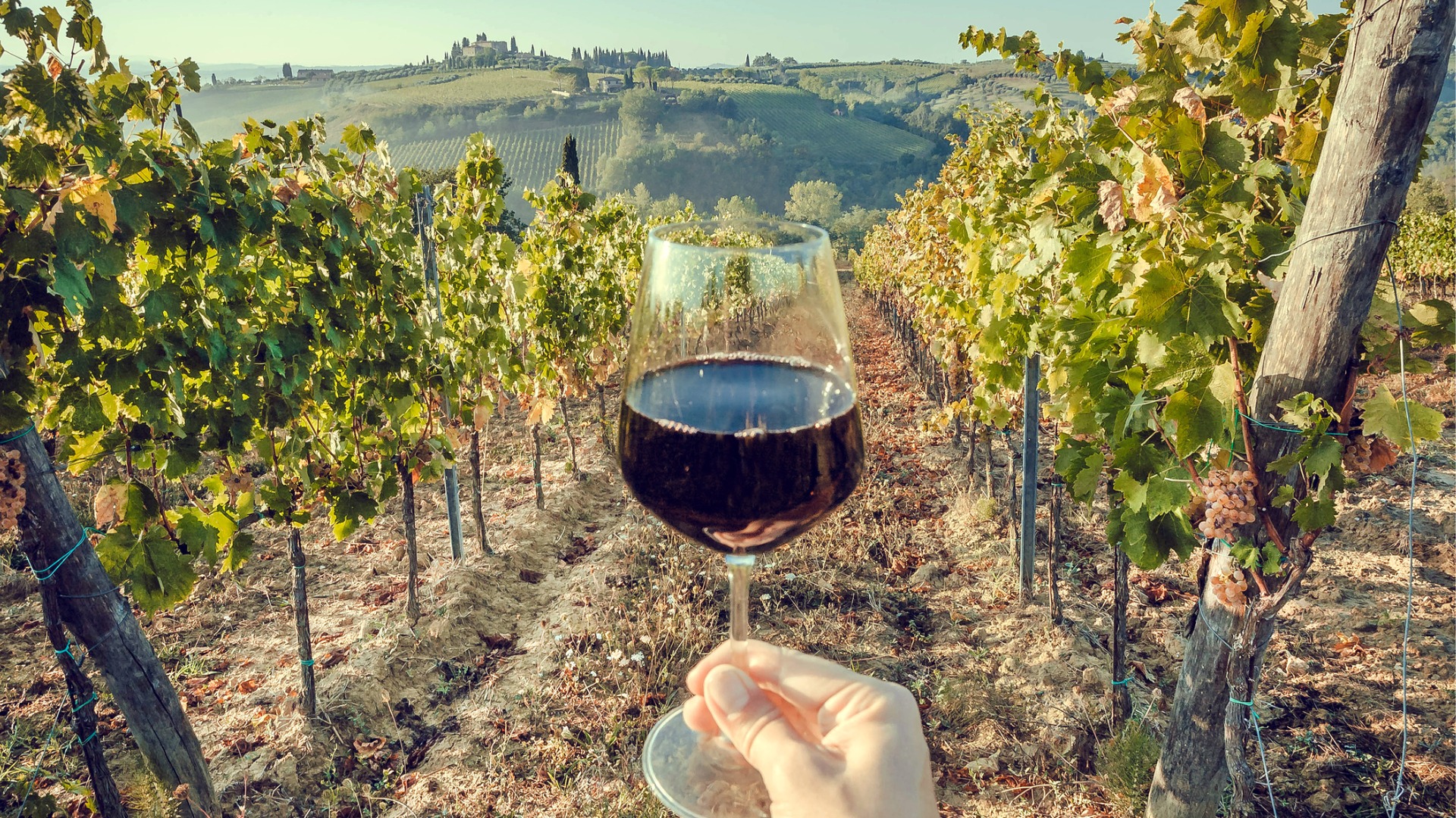 A hand holding a glass of red wine with rolling hills of Tuscany in the background.