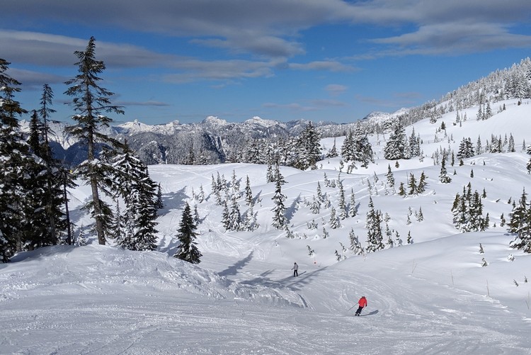 Snowy scene at Mount Seymour