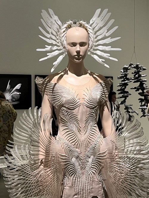 Iris van Herpen