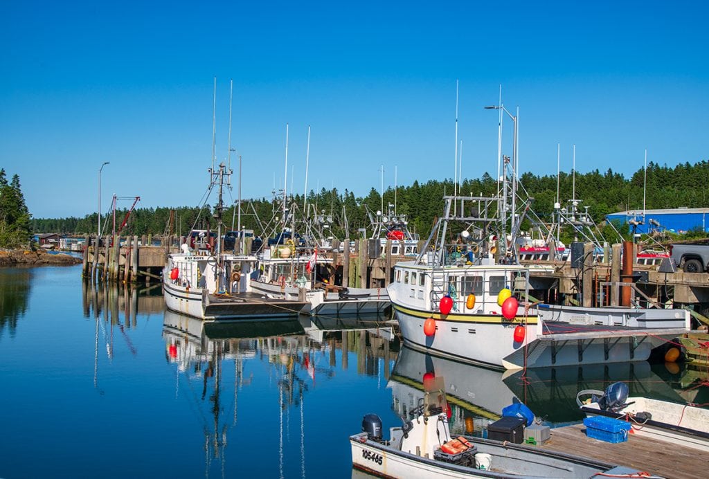 Fishing boats of Campobello Island.