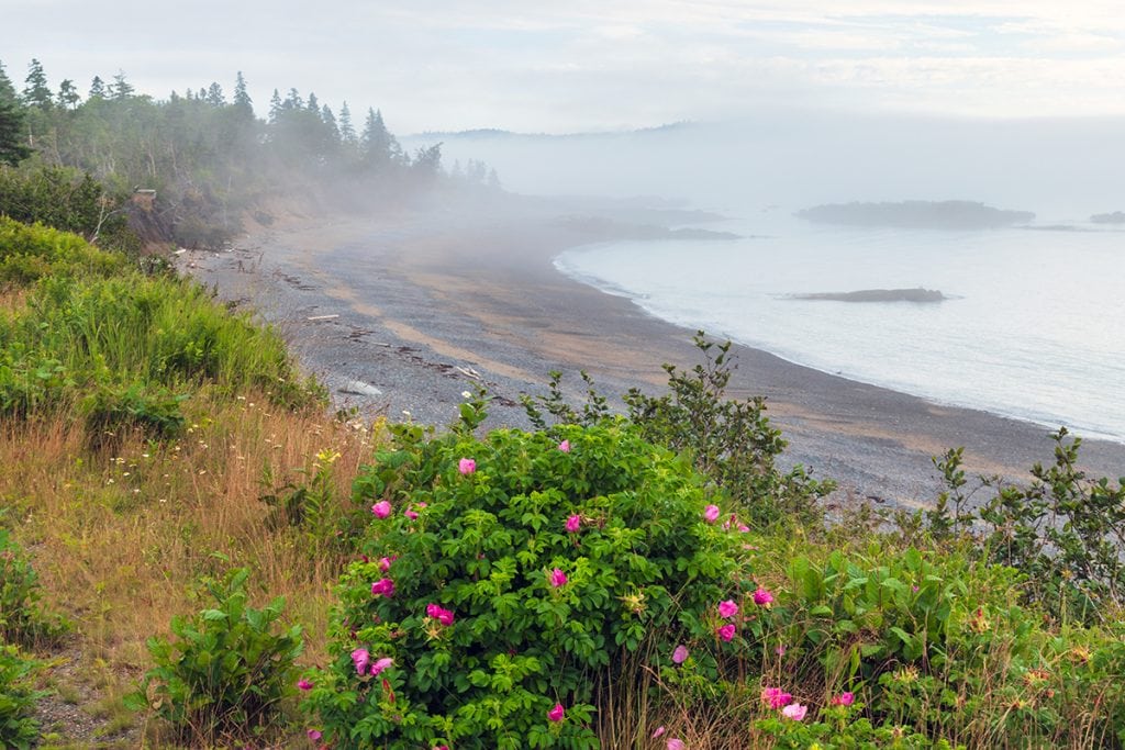 Raccoon Beach, Campobello Island.