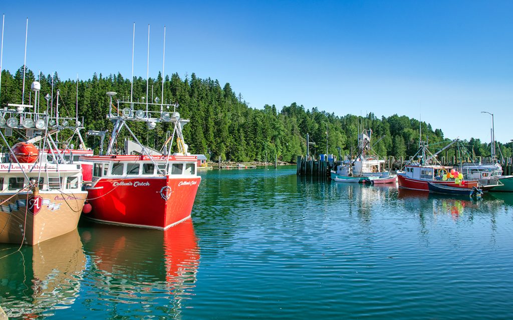 Fishing boats on Campobello Island.