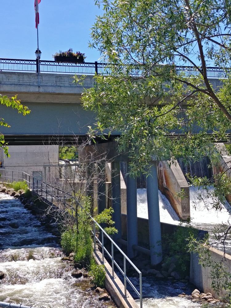 Thornbury Fishway with a bridge crossing over the dam.