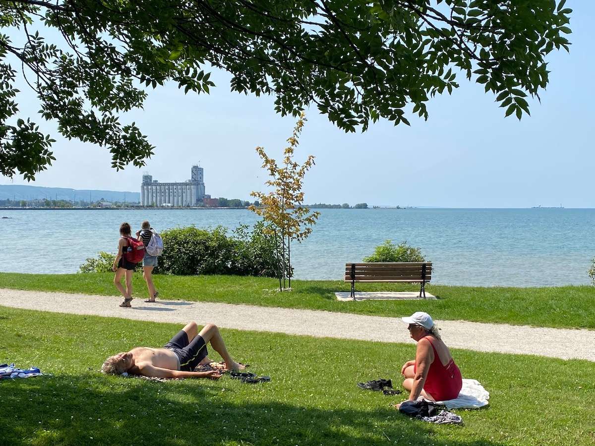 People relaxing on the grass at Sunset Point Beach in Collingwood.