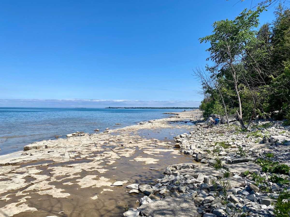 Shale beach at Craigleith Provincial Park.