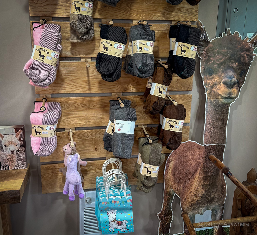 Malette Family Farm alpaca socks for sale inside the shop outside of Blyth Ontario