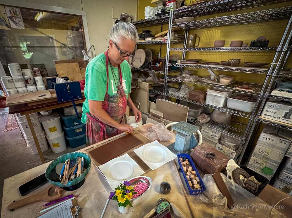 Cat at The Wonky Frog pottery studio Blyth Ontario