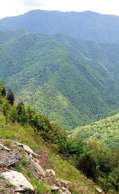 A person on a mountain