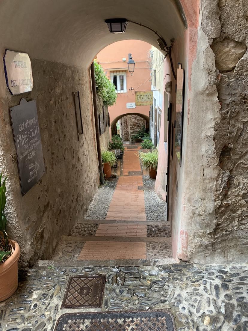 A stone archway with plants