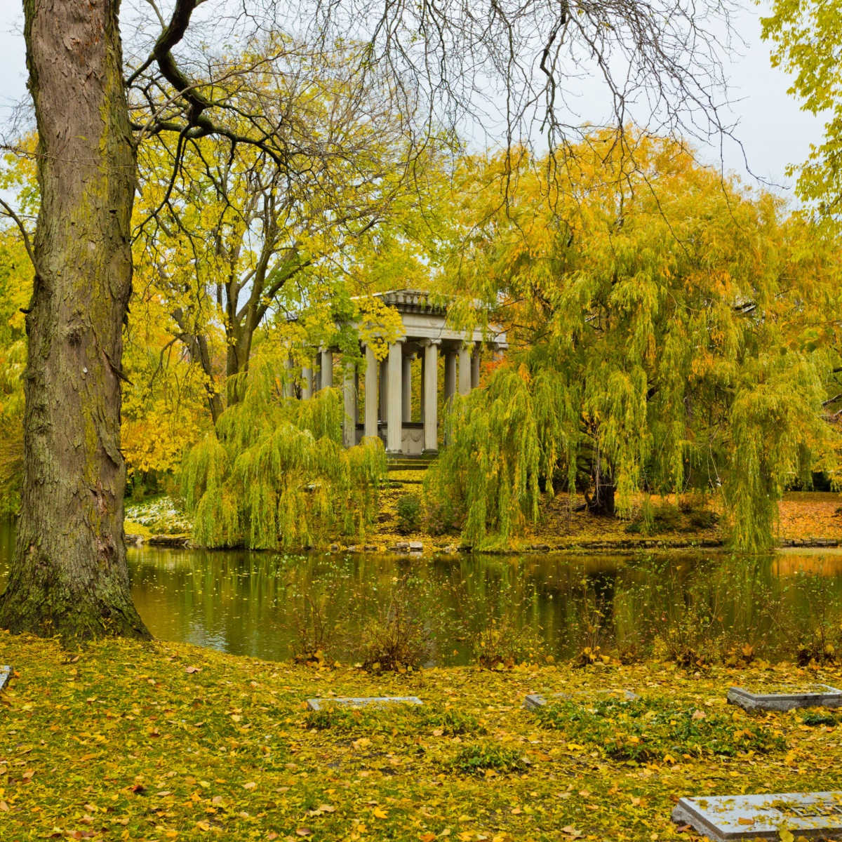 Chicago park