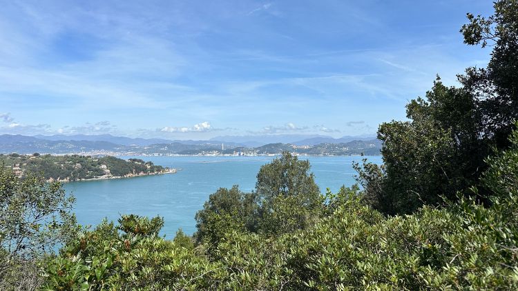 View from Palmaria Island. Photo by Isabella Miller 