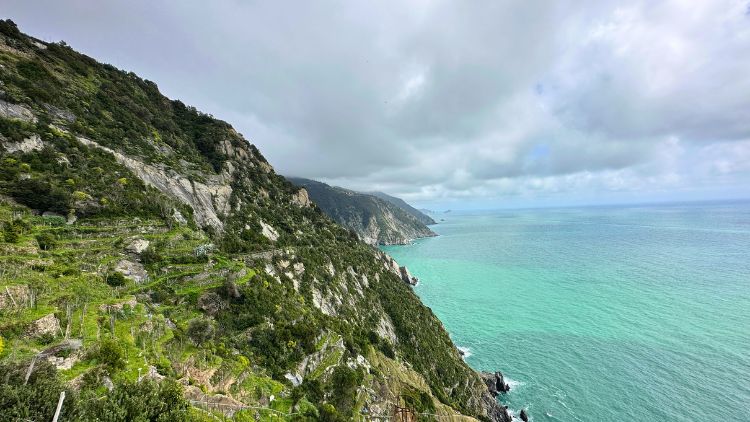 La Possa vineyard terraced into the cliffside. Photo by Isabella Miller 