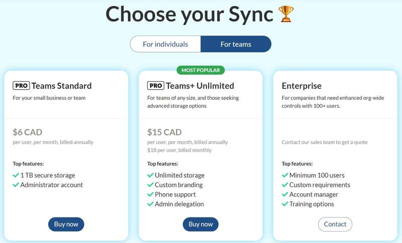 Sync Pricing 2024