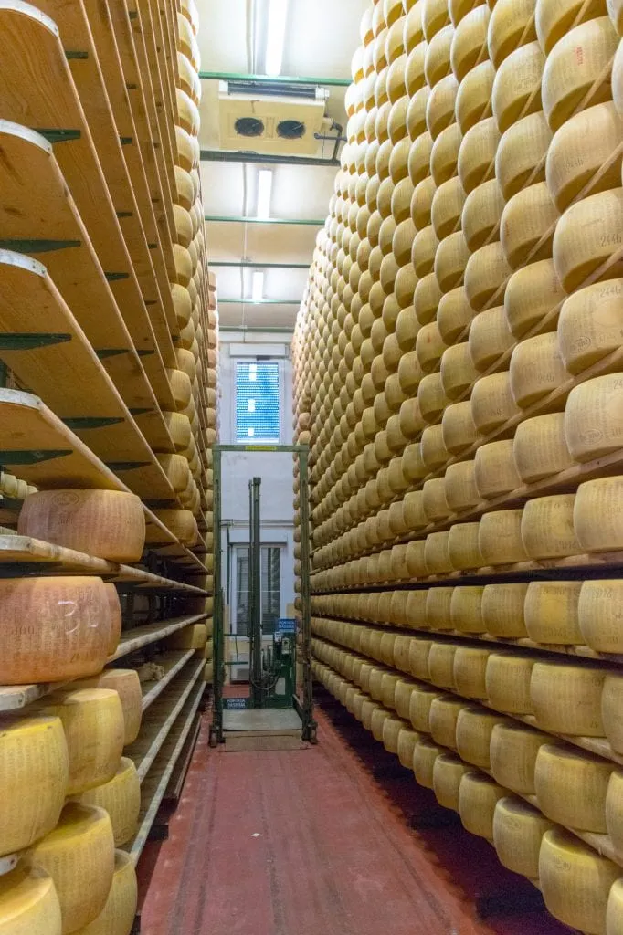 wheels of aging parmigiano reggiano as seen at a cheese factory on day trips from parma italy