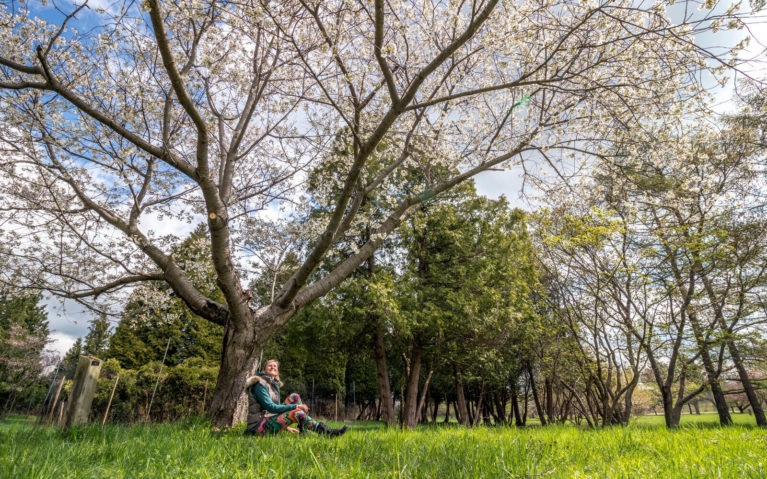 Lindsay Sitting Under a Cherry Tree in Bloom